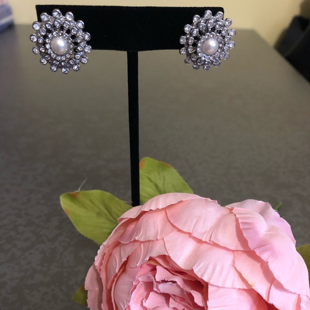 Gorgeous Ann Taylor Earrings